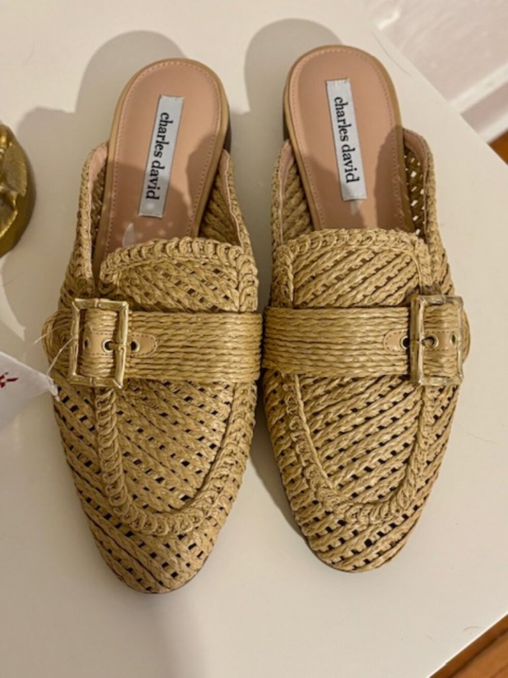 Charles David Women's Felice Flat Dress Mule Size 8 NWT